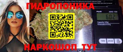 прущая мука Аша