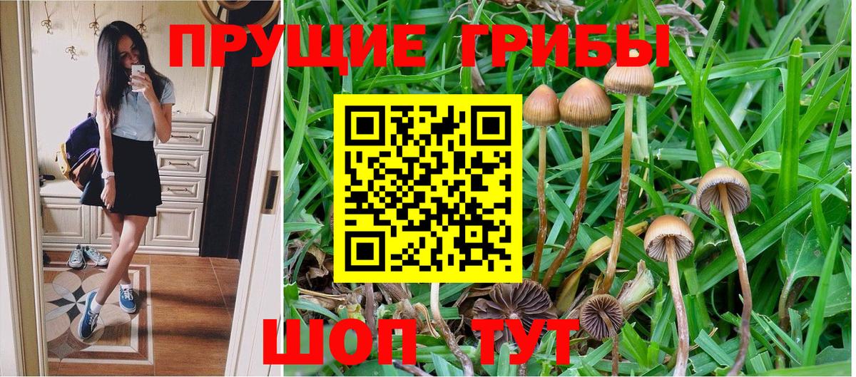Галлюциногенные грибы Cubensis  Вход с VPN  Можайск 